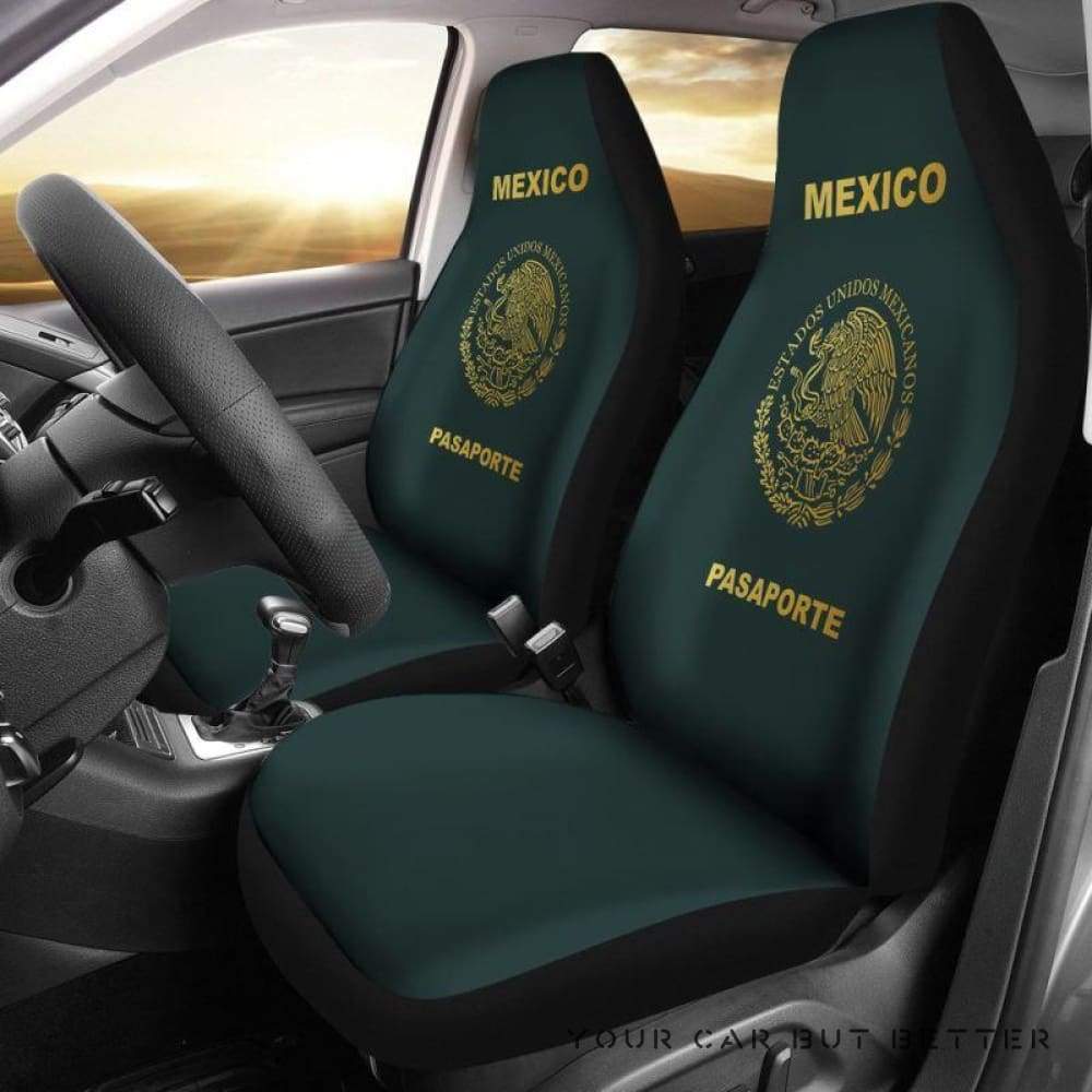 mexico-passport-car-seat-coverpskrp.jpg